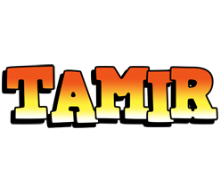 Tamir sunset logo