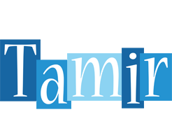 Tamir winter logo