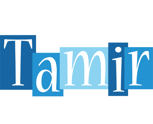 Tamir winter logo
