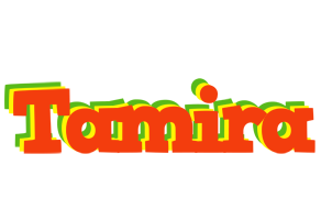 Tamira bbq logo