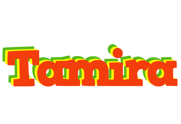 Tamira bbq logo