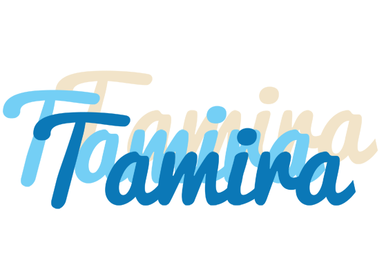 Tamira breeze logo
