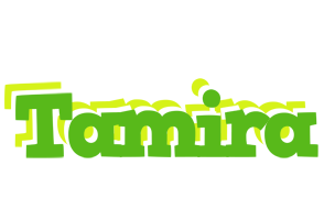 Tamira picnic logo