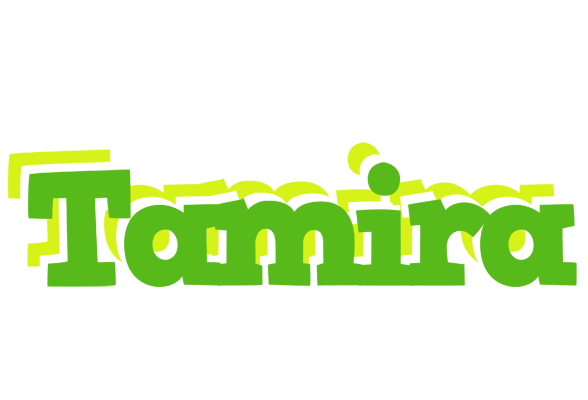Tamira picnic logo