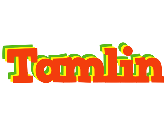 Tamlin bbq logo