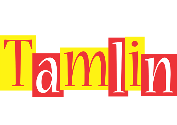 Tamlin errors logo