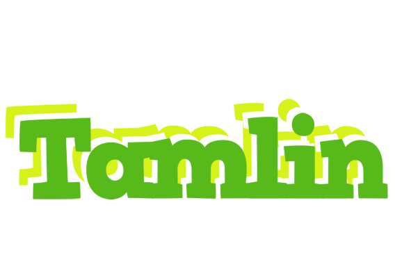 Tamlin picnic logo