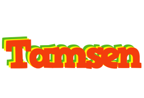 Tamsen bbq logo