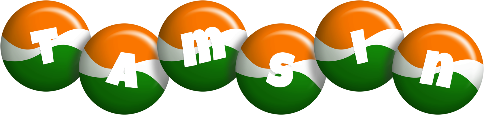Tamsin india logo