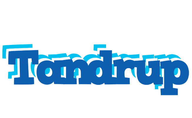 Tandrup business logo