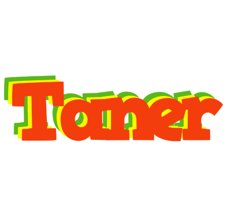 Taner bbq logo