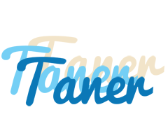 Taner breeze logo