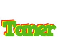 Taner crocodile logo