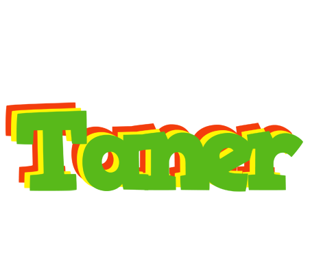 Taner crocodile logo