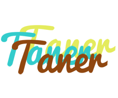 Taner cupcake logo