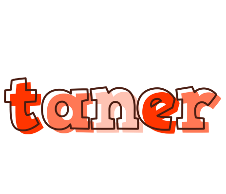 Taner paint logo