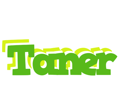 Taner picnic logo