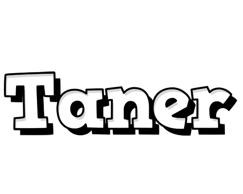 Taner snowing logo