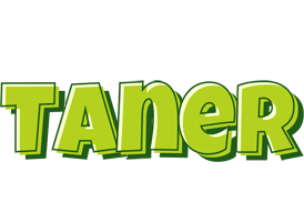 Taner summer logo