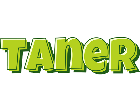 Taner summer logo