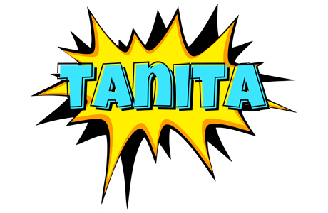 Tanita indycar logo