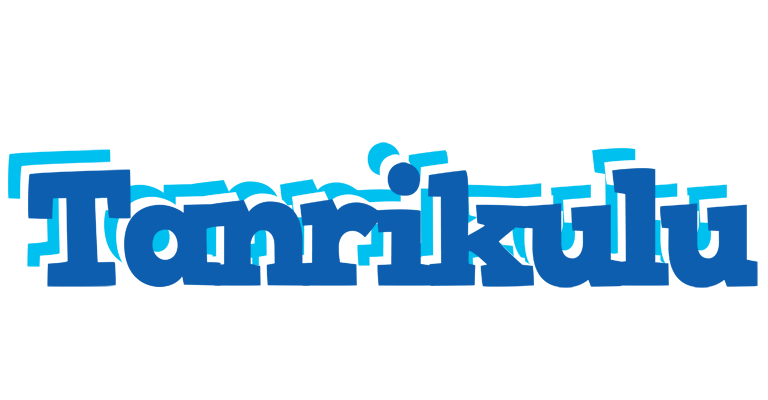Tanrikulu business logo