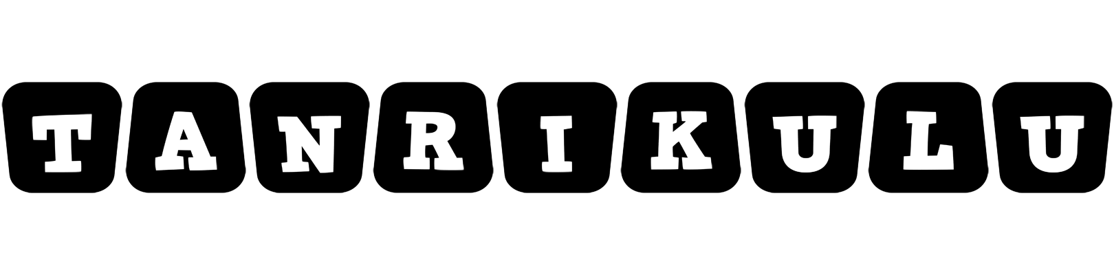 Tanrikulu racing logo