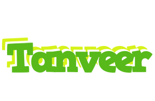 Tanveer picnic logo