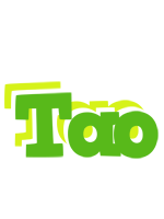 Tao picnic logo