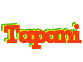 Tapani bbq logo