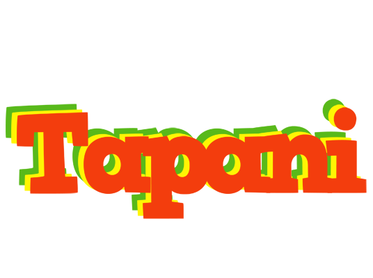 Tapani bbq logo
