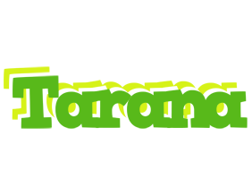 Tarana picnic logo