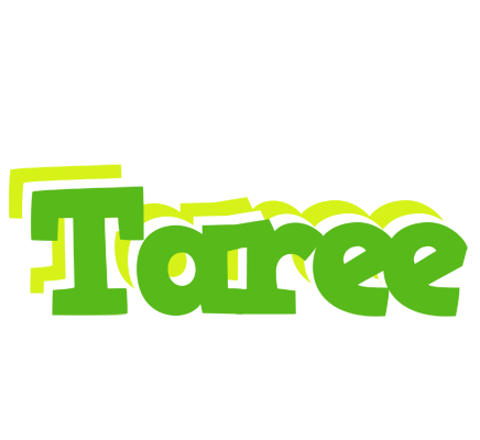 Taree picnic logo