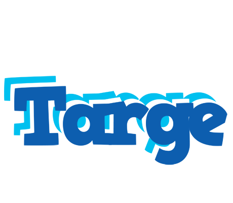 Targe business logo