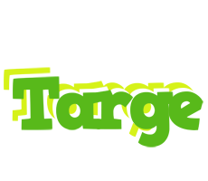 Targe picnic logo