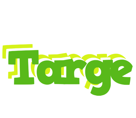 Targe picnic logo