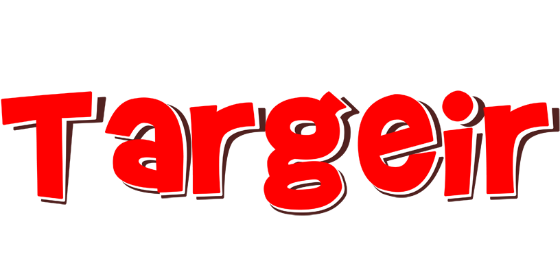 Targeir basket logo