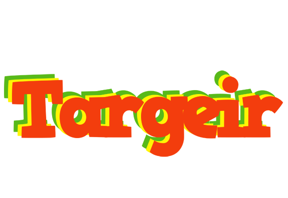 Targeir bbq logo