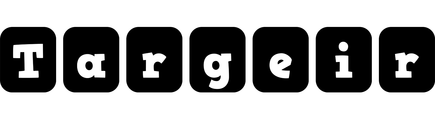 Targeir box logo