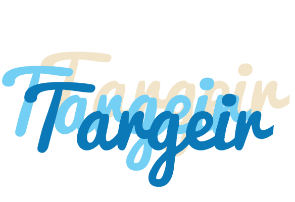 Targeir breeze logo