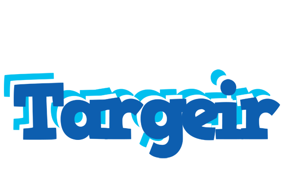 Targeir business logo