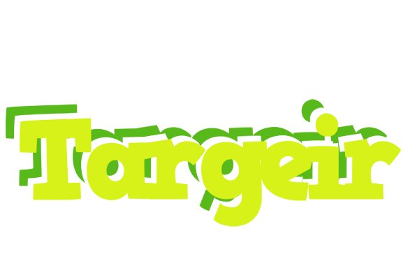 Targeir citrus logo