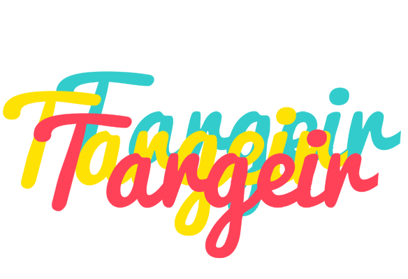 Targeir disco logo