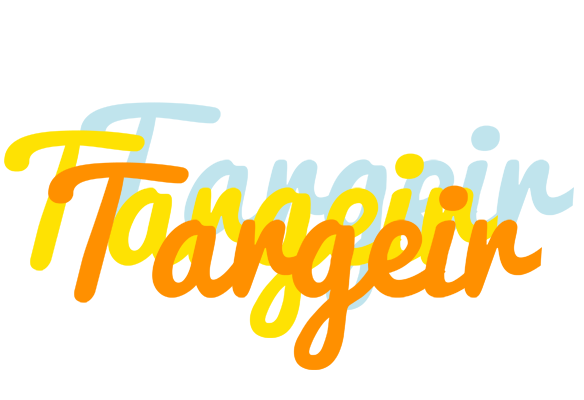 Targeir energy logo
