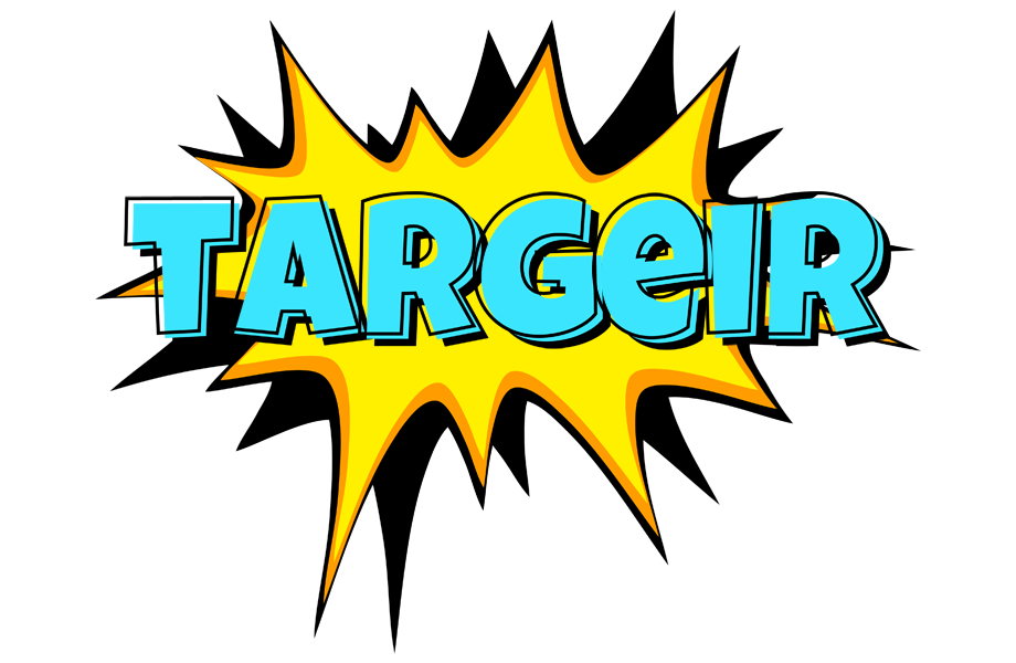 Targeir indycar logo