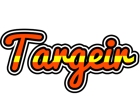 Targeir madrid logo