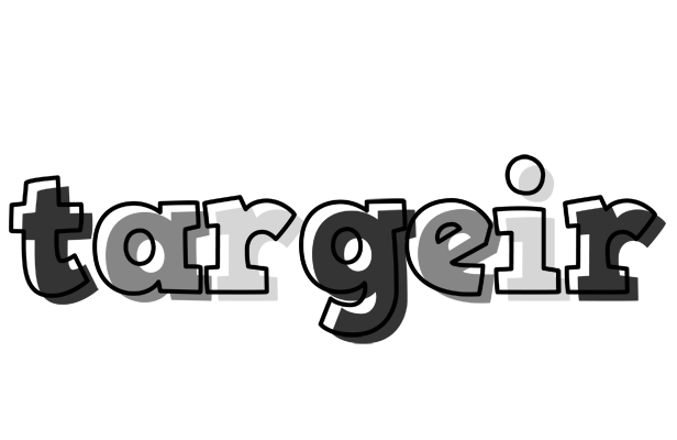 Targeir night logo
