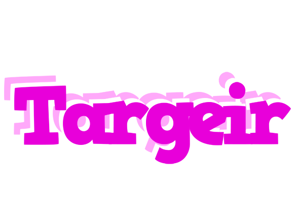 Targeir rumba logo