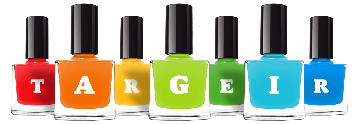 Targeir saloon logo