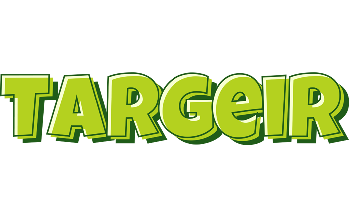 Targeir summer logo